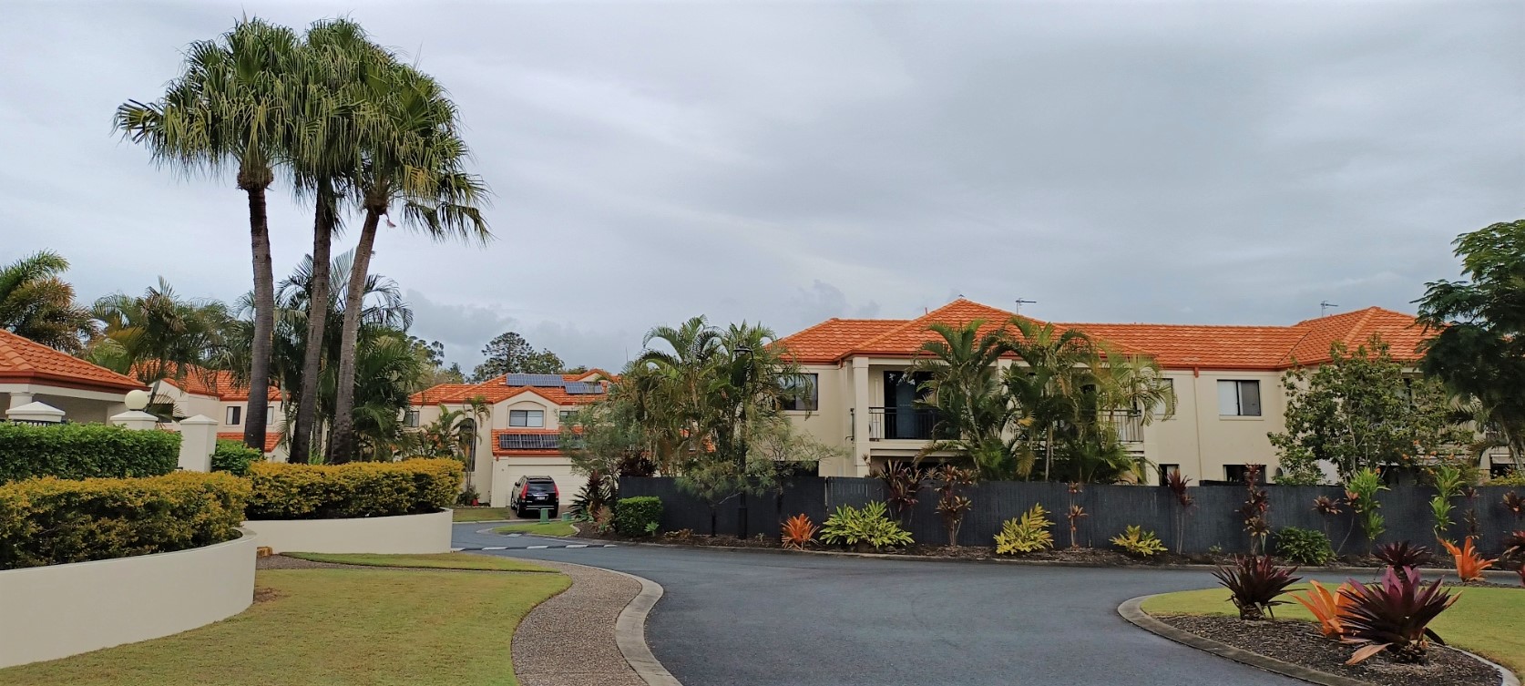 Palma Sereno (Merrimac)